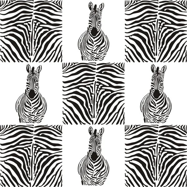 Muster-Zebras für Textilien — Stockvektor
