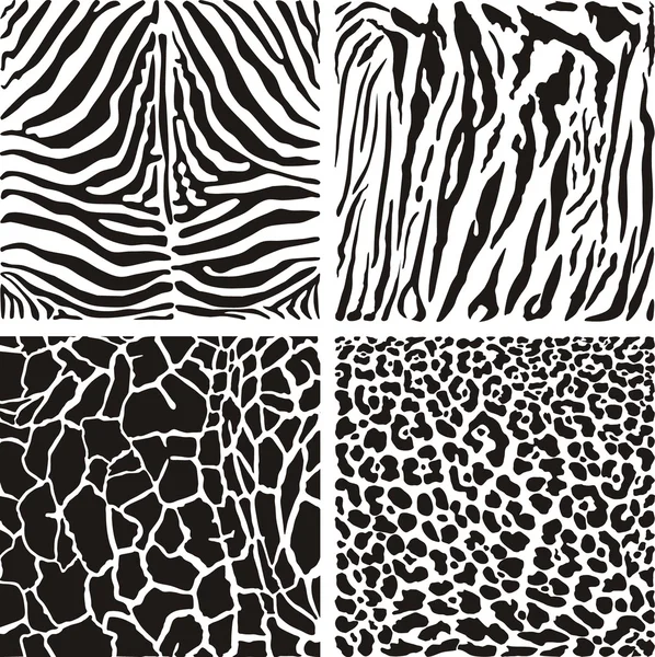 Djur svart och vit bakgrund — Stock vektor