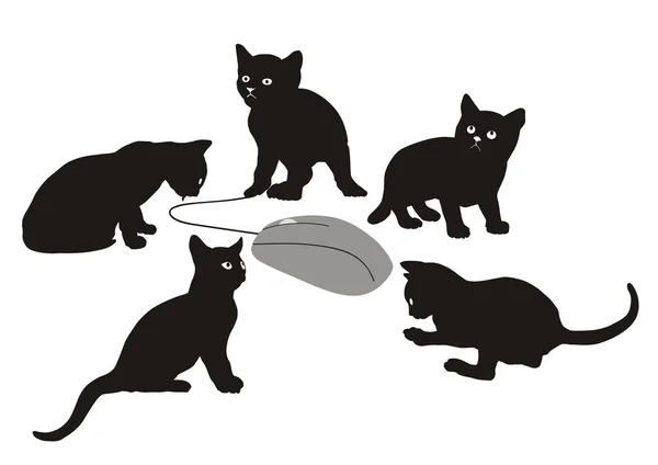 Kittens is hunting for computer mouse — Stock Vector