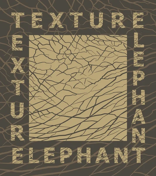 Textura de piel de elefante — Vector de stock
