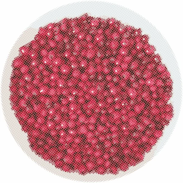 Vector Raster Image Hawthorn White Bowl Royalty Free Stock Vectors