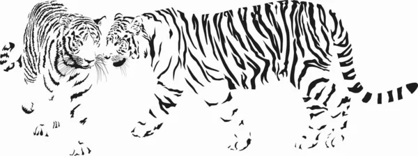 Black White Vector Drawing Tigers — Stock Vector