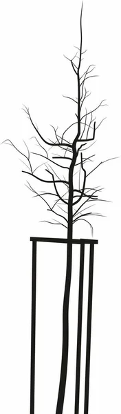 支持構造の若い木のシルエットベクトル描画 — ストックベクタ