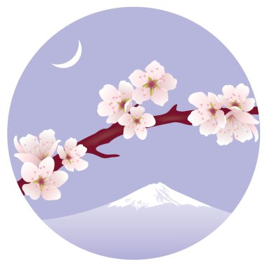 Sakura (kiraz Şubesi vektör)