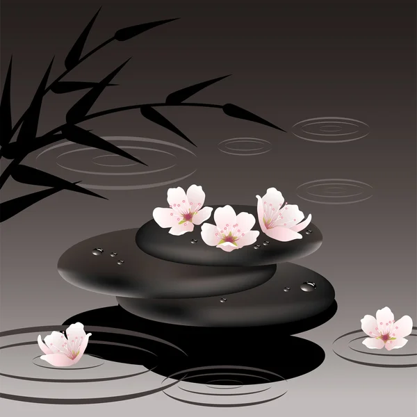 Vektor zen kő és a cseresznye virágok — Stock Vector