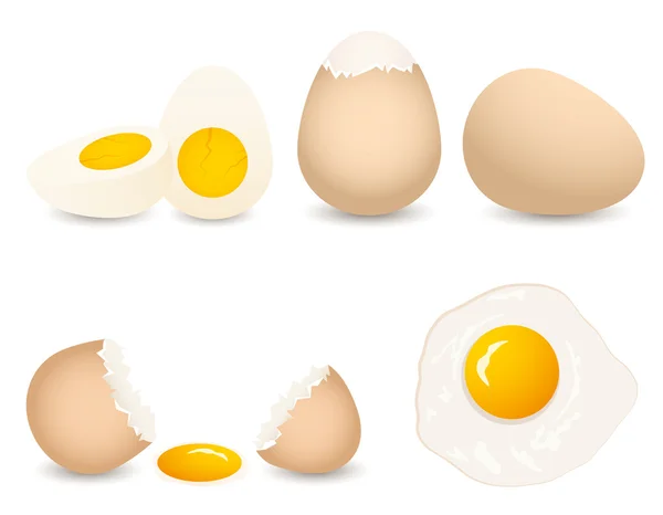 Collecte d "œufs vectoriels — Image vectorielle