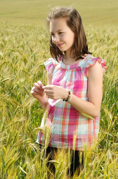 小麦畑で美しい少女 — ストック写真
