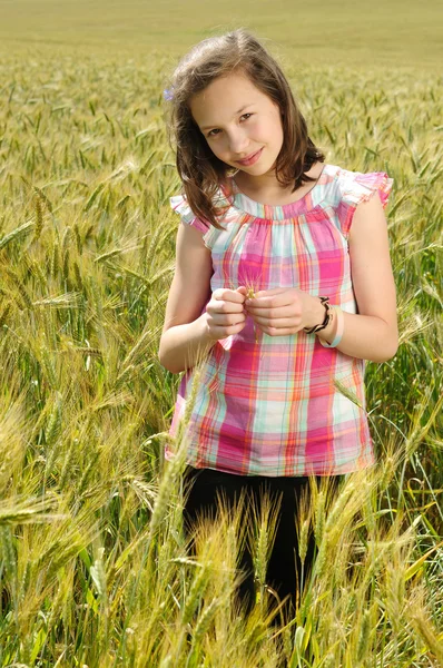 Joven hermosa chica en un campo de trigo — Foto de Stock