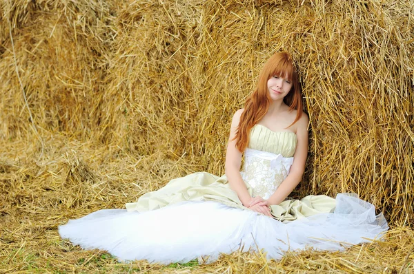 Bride in wedding dress in a field — Stock Photo, Image