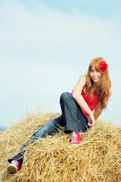 Happy smiling young girl sitting on a hay — Stock Photo, Image