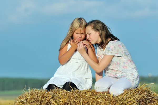 iki mutlu genç kız doğanın keyfini arkadaşlar