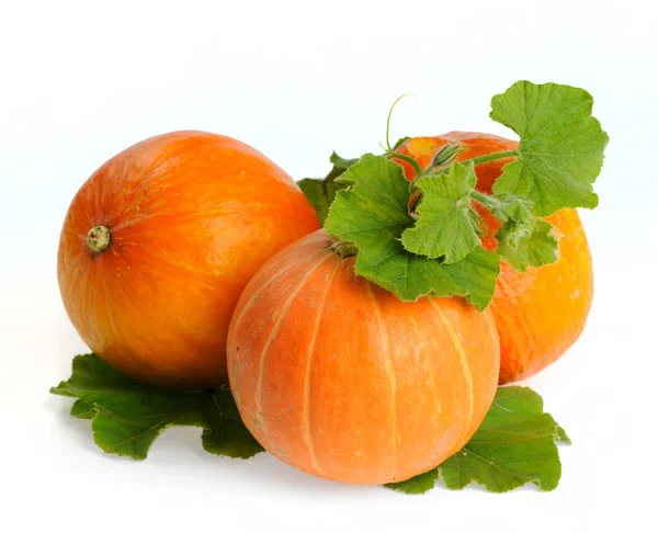 Citrouilles jaunes légumes aux feuilles vertes isolées — Photo