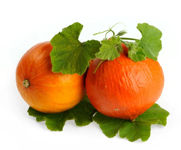 Yellow pumpkins vegetables with green leaves isolated — Stock Photo, Image