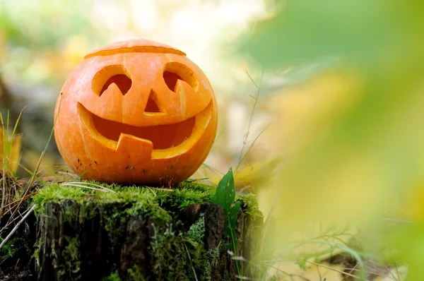 Ijesztő halloween-tök őszi erdő — Stock Fotó