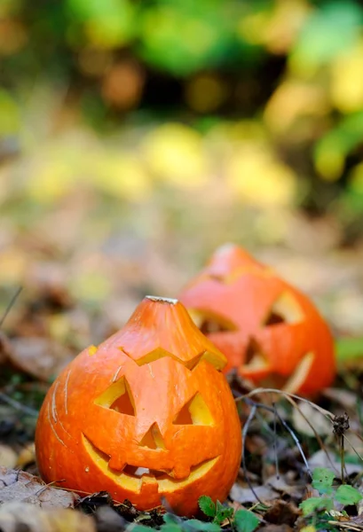 Skrämmande Halloween pumpa i höst skog — Stockfoto