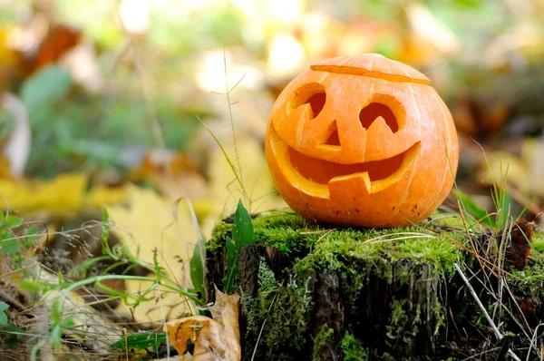Halloween abóbora assustadora na floresta de outono — Fotografia de Stock