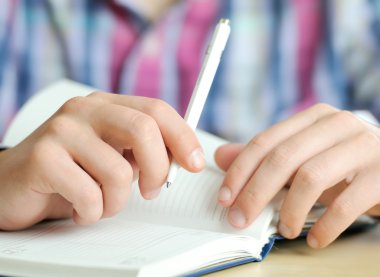 işadamı iş günlüğüne yazma