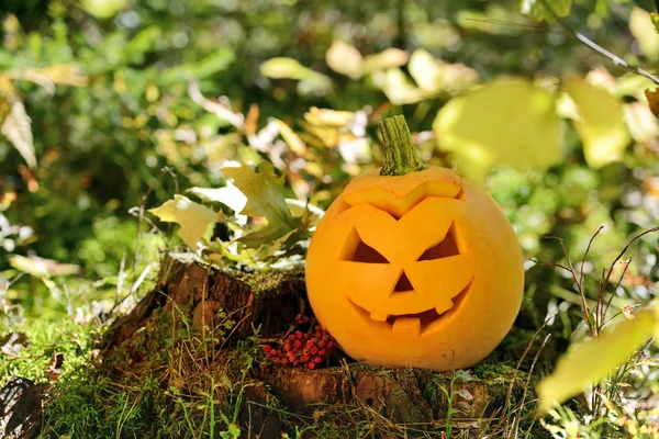 Strašidelné Halloween dýně v podzimním lese — Stock fotografie