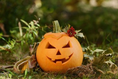 Cadılar Bayramı korkutucu kabak sonbahar orman