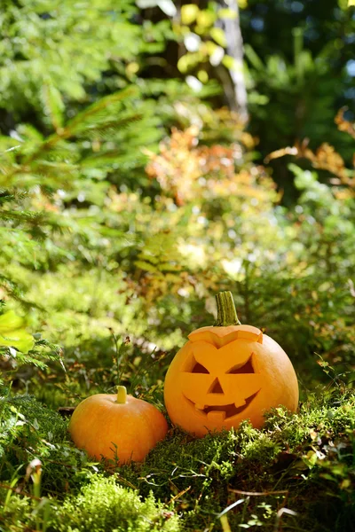 Halloween spaventosa zucca nella foresta autunnale — Foto Stock