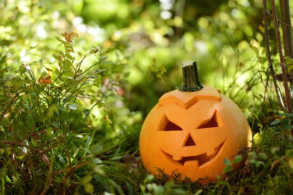 Gruseliger Halloween-Kürbis im herbstlichen Wald — Stockfoto