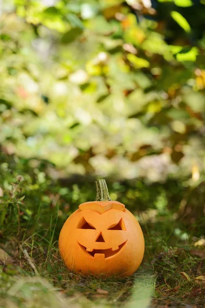 Halloween eng pompoen in herfst bos — Stockfoto