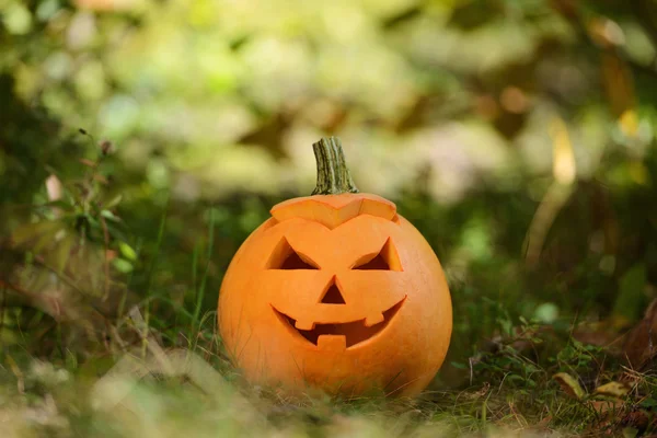 Halloween abóbora assustadora na floresta de outono — Fotografia de Stock