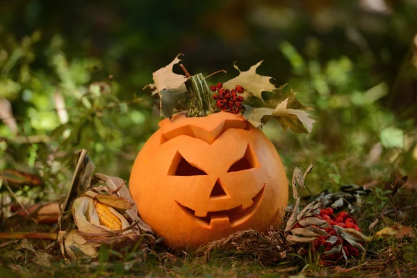 Strašidelné Halloween dýně v podzimním lese — Stock fotografie