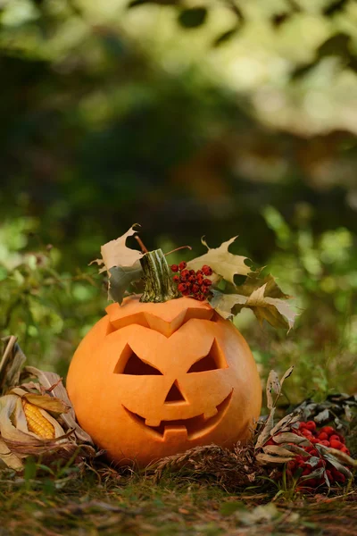 Gruseliger Halloween-Kürbis im herbstlichen Wald — Stockfoto