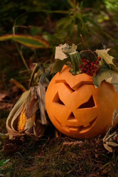 Halloween calabaza de miedo en el bosque de otoño — Foto de Stock