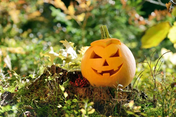 Strašidelné Halloween dýně v podzimním lese — Stock fotografie