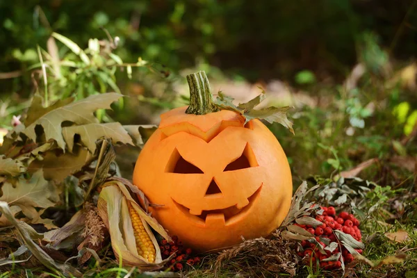 Strašidelné Halloween dýně v podzimním lese — Stock fotografie