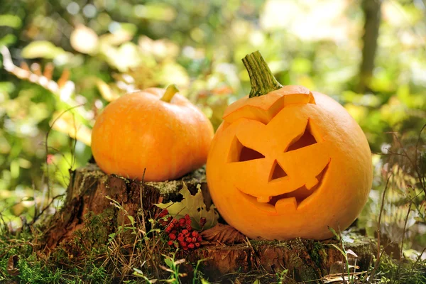 Gruseliger Halloween-Kürbis im herbstlichen Wald — Stockfoto