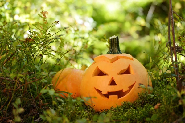 Halloween abóbora assustadora na floresta de outono — Fotografia de Stock