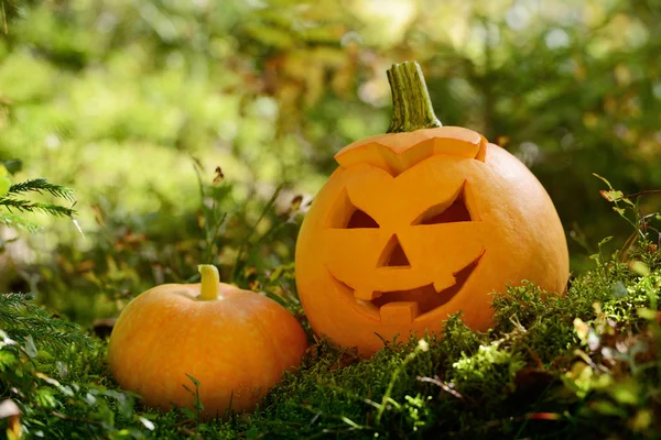 Halloween abóbora assustadora na floresta de outono — Fotografia de Stock