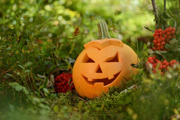 Ijesztő halloween-tök őszi erdő — Stock Fotó