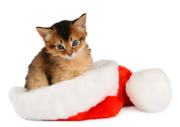 Joyeux Noël Chat avec chapeau de Père Noël sur blanc Images De Stock Libres De Droits