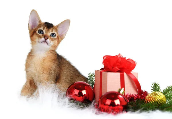 Gatinho bonito com árvore de natal e caixa de presente — Fotografia de Stock
