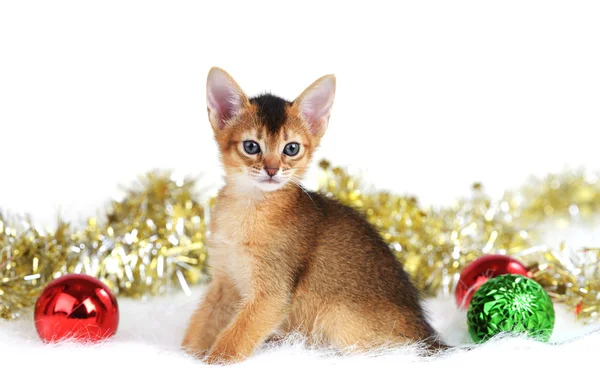 Cute kitten with christmas balls — Stock Photo, Image