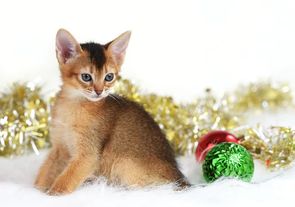 Chaton mignon avec des boules de Noël — Photo