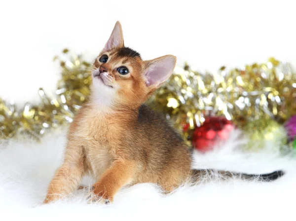 Chaton mignon avec des boules de Noël — Photo