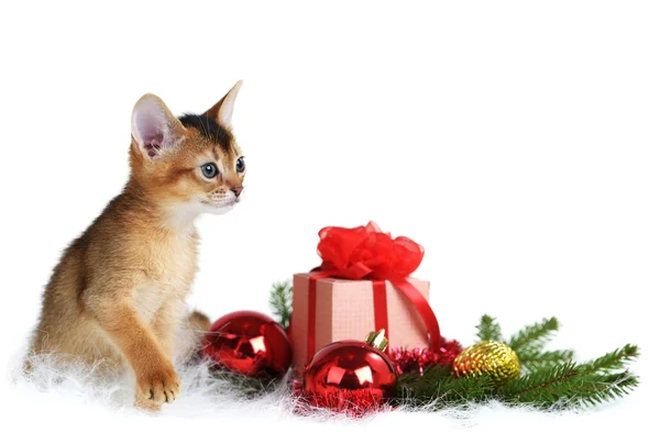 Chaton mignon avec arbre de Noël et boîte cadeau — Photo