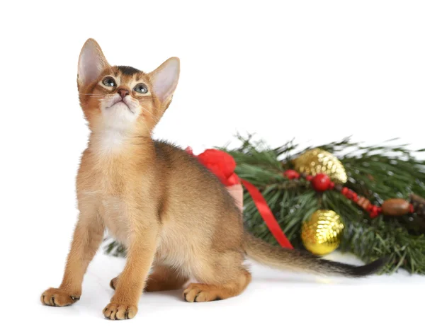 Chaton mignon avec arbre de Noël et boules — Photo