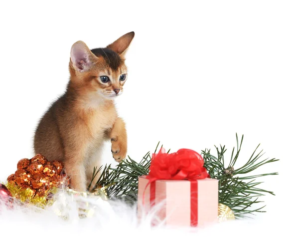 クリスマス ツリーとギフト ボックスかわいい子猫 — ストック写真