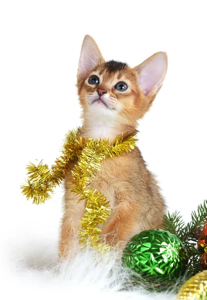 Cute kitten with christmas balls — Stock Photo, Image