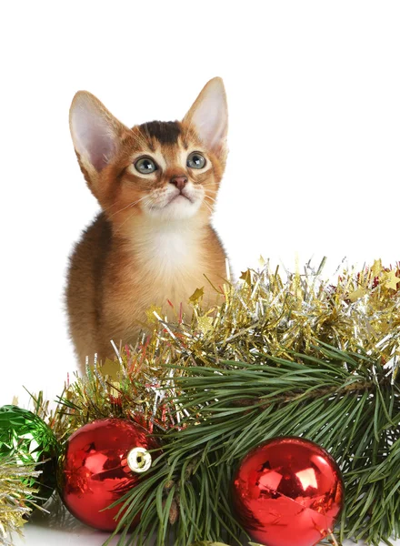 Chaton mignon avec arbre de Noël et boules — Photo