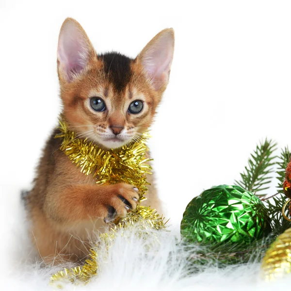 Cute kitten with christmas balls — Stock Photo, Image