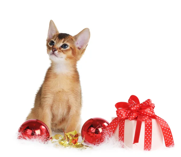 Chaton mignon avec boules de Noël et boîte cadeau — Photo