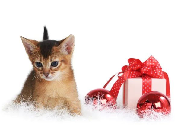 Aranyos cica a karácsonyi labdák és ajándék doboz — Stock Fotó