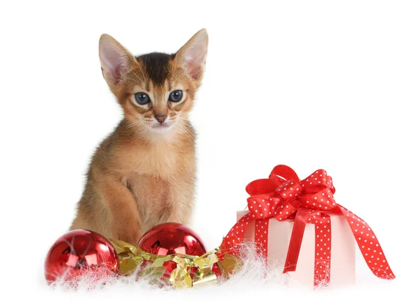 Cute kitten with christmas balls and gift box — Stock Photo, Image